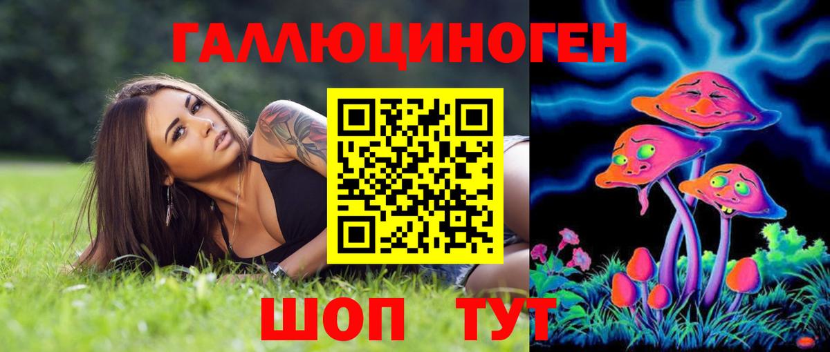 Галлюциногенные грибы Psilocybine cubensis Кохма